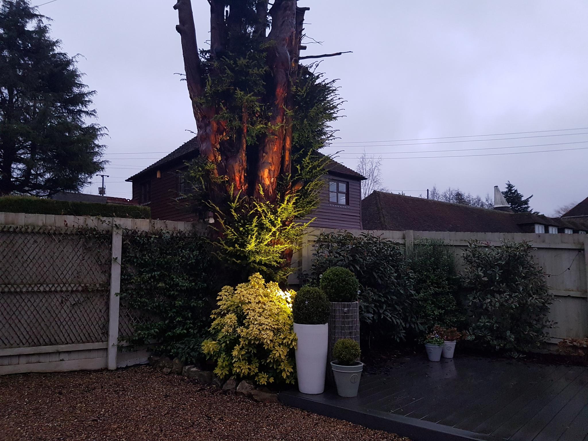 Garden Lighting